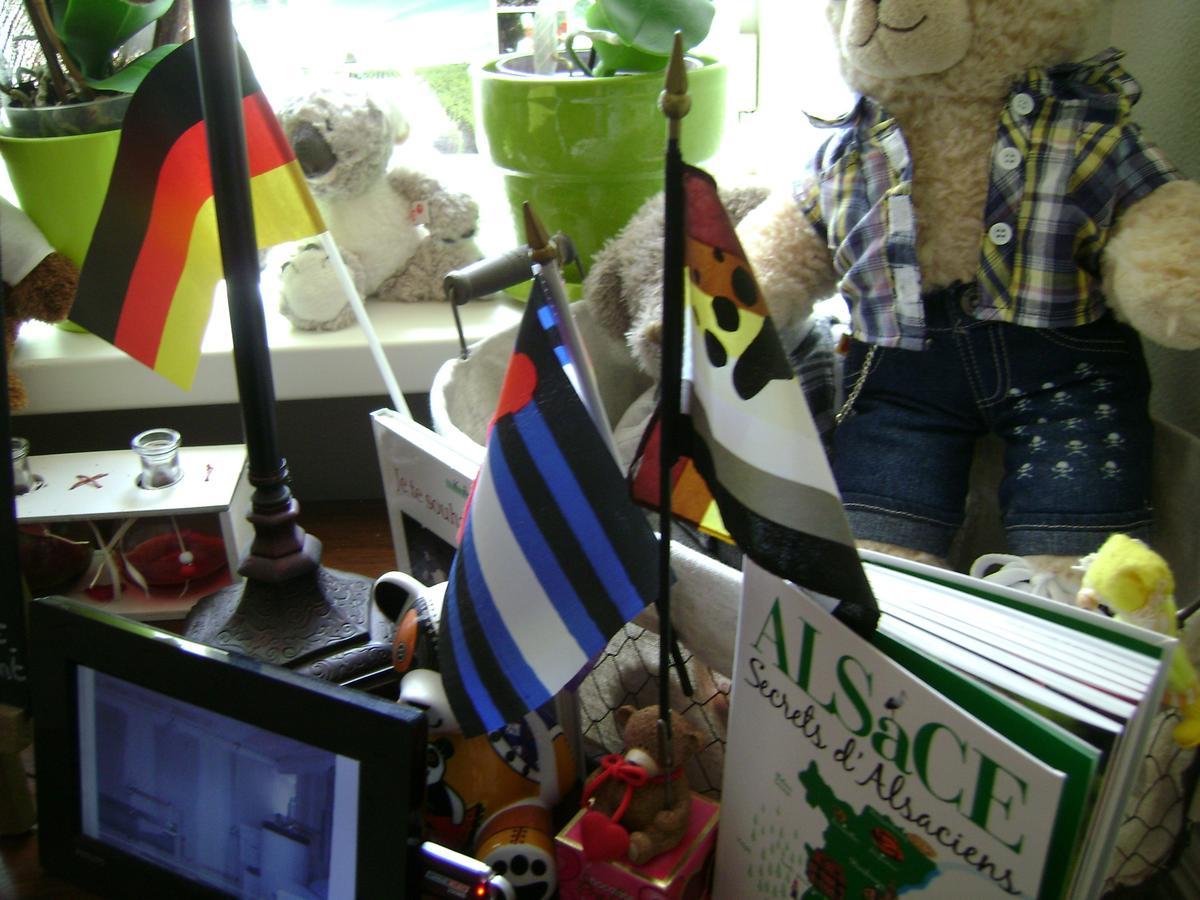 Les Volets Bleus Alsace Vosges Bed & Breakfast Urbes Bilik gambar