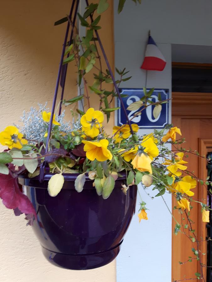 Les Volets Bleus Alsace Vosges Bed & Breakfast Urbes Luaran gambar